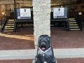 img_1307-1