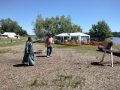 img_1937-1