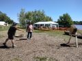 img_1939-1