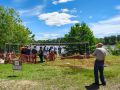img_20250517_114227409_hdr-1