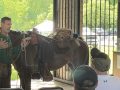 img_1463-1