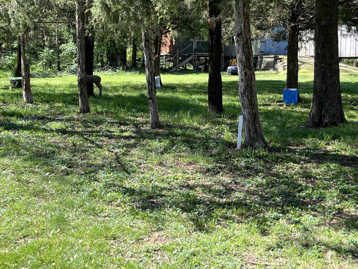 April 2024 – Archery Match
